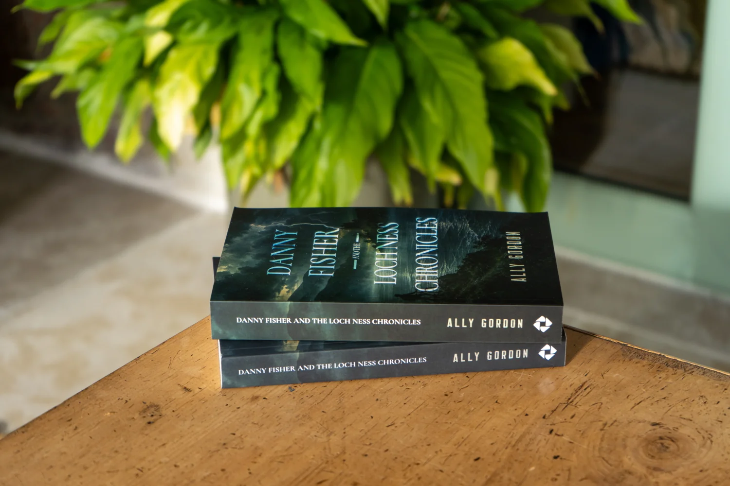 Books on a writing desk beneath a green houseplant