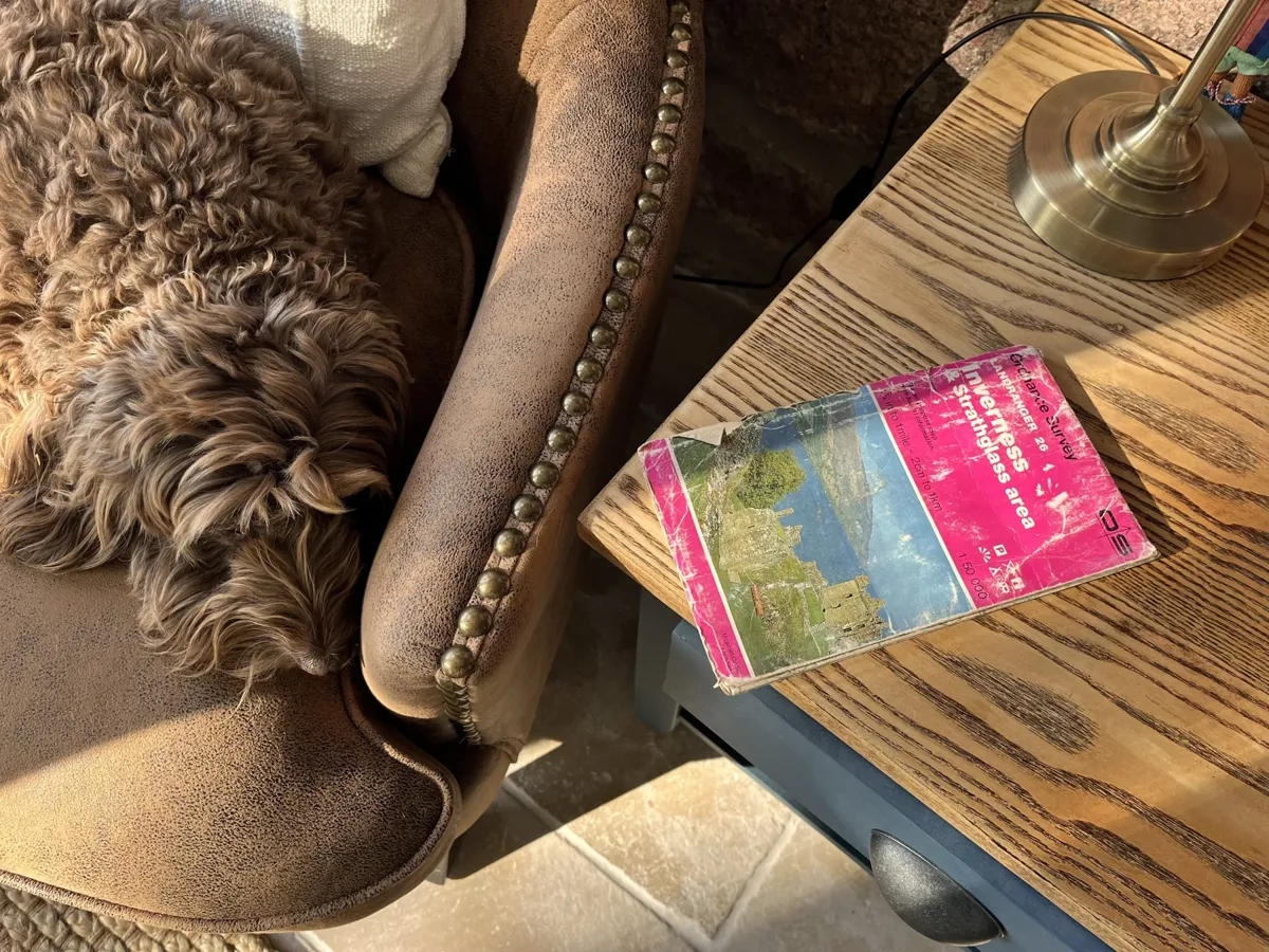 A book on a wooden table beside a leather armchair and sleeping dog